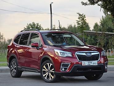 forest: Subaru Forester: 2019 г., Кроссовер — 2