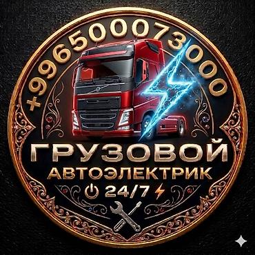 e 303: Услуги автоэлектрика, Компьютерная диагностика, Специализация: Грузовой транспорт и спецтехника, С выездом — 2