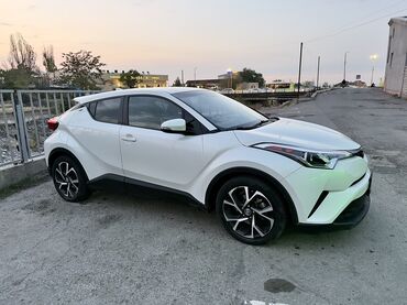 купить зикр в бишкеке: Toyota C-HR: 2017 г., 2 л, Бензин, Кроссовер