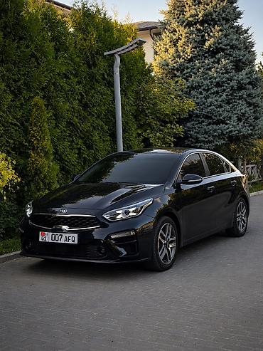 Kia K3: 2019 г.