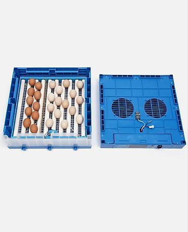 Kənd təssərüfatı avadanlığı: Mini inkubator – avtomatik yumurta çıxaran aparat kreditlə — 4