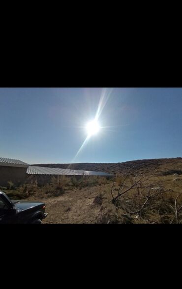 Другие товары для дома и сада: Продается действующий бизнес кашар вместе с садом для разведения скота — 5