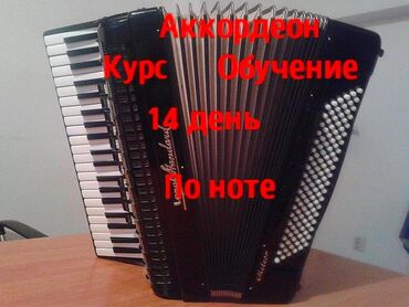 аккордеон вельтмейстер купить: Аккордеон