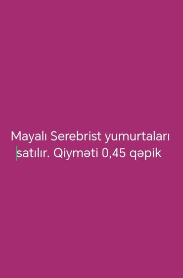 Sifarişlə hazır yeməklər: Ünvan Abşeron rayonu Novxanı kəndi