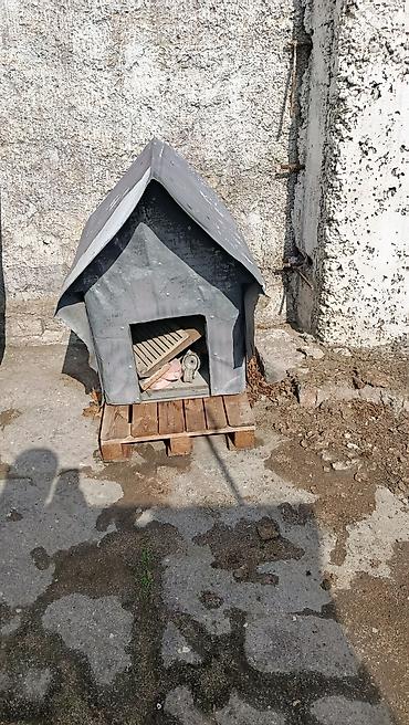 Metaldan hazırlanmış kiçik anbar/konteyner-kabina - Korpus