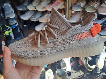 Patike: Adidas yeezy boost 350 patike NOVO Novo Brojevi 36 do 46 fb Moja — 2