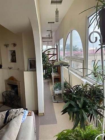 обмен квартиры на частный дом: 5 и более комнат, 230 м², Золотой квадрат Индивидуалка, 5 этаж, Дизайнерский ремонт — 4