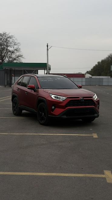 rav4 2008: Toyota RAV4: 2019 г., 2.5 л, Автомат, Гибрид, Кроссовер — 1