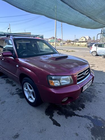 шины 245 65 17: Subaru Forester: 2003 г., 2 л, Автомат, Бензин, Универсал