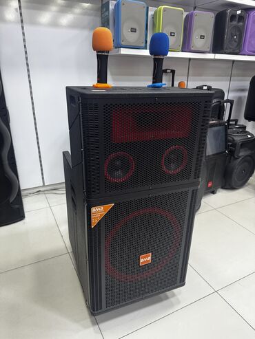 Mikrofonlar: Yeni Hp Kolonka, Növ - Toy üçün, rəng - Qara