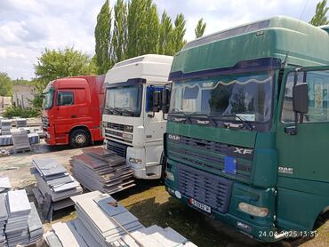 фура голова: Тягач, DAF, 2006 г., Тентованный