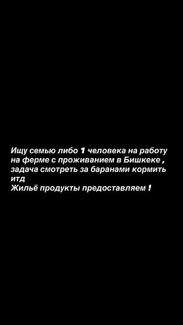 вакансия личного водителя: Ищу ответственного человека на работу с проживанием в Бишкеке задача — 1