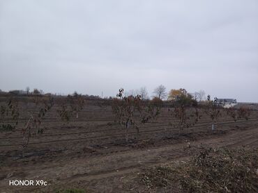 Torpaq sahələrinin satışı: Mülkiyyətçi — 11