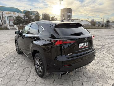 Lexus: Lexus NX: 2019 г., 2 л, Бензин, Кроссовер — 6
