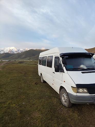 авто электир: Mercedes-Benz Sprinter пассажирский микроавтобус - Кузов: высокий — 2