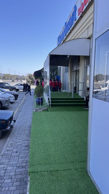 Bağ və bostan üçün digər məhsullar: 19 man baslayan qiymetler — 23