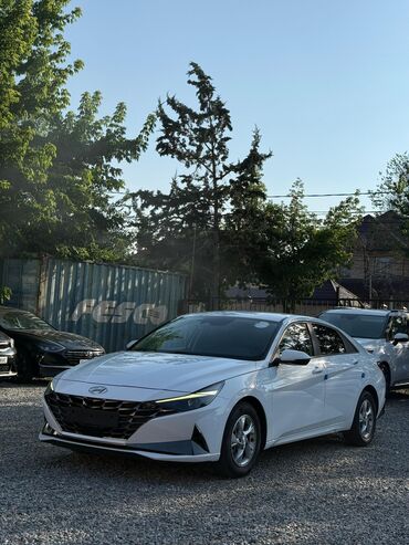 купить авто с кореи бу: Hyundai Avante: 2020 г., 1.6 л, Автомат, Газ, Седан