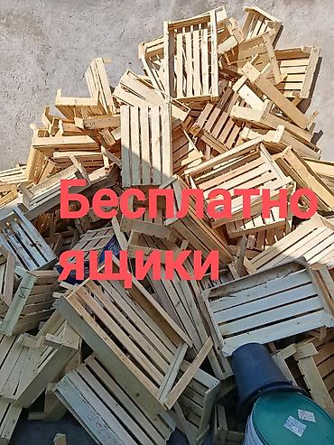 библия: Бесплатно
Баялинова 15 (Ленинградская) — 1