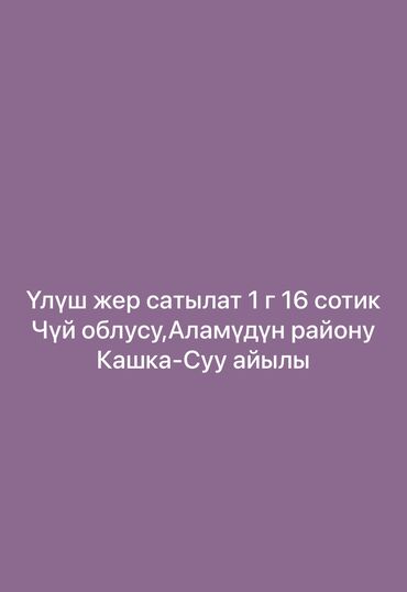 дордой жер: Айыл чарба үчүн, Сатып алуу-сатуу келишими