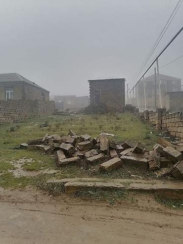 hökmeli evler: Tikinti, Mülkiyyətçi, Kupça (Çıxarış) — 8