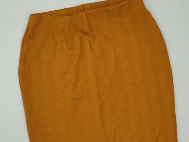 Women: Women`s skirt, Zara, size M (EU 38)