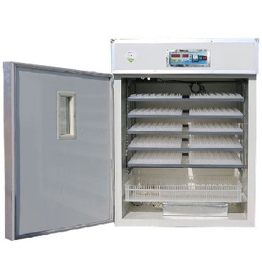 1000 yumurtalıq inkubator: Inkubator inqibator inkibator inqubator Sənaye tipli inkubatorlar 1056