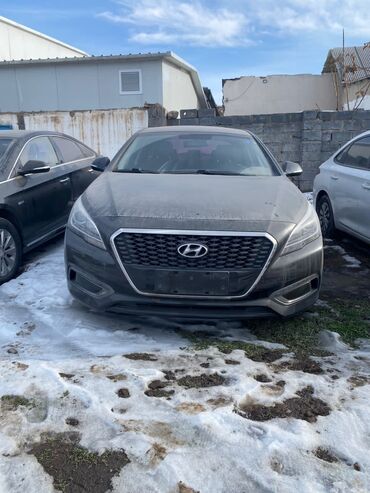 Hyundai: Hyundai Sonata: 2019 г., 2 л, Автомат, Гибрид