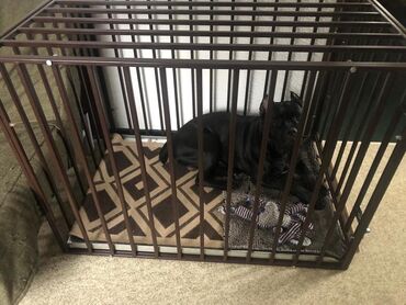 Столы и стулья для кафе: Стол и стул для кафе, Новый, Бесплатная доставка, Платная доставка — 8