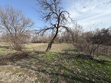 Продажа коттеджей и домов: Продается дом с большим дворовым участком 16.5 соток (фактически 20)и — 12