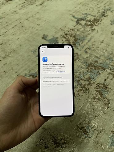 Apple iPhone: IPhone 12 Pro, Б/у, 128 ГБ, Pacific Blue, Зарядное устройство, Чехол, 75 % — 9