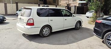 неделю: Honda Odyssey: 2002 г., 3 л, Автомат, Газ, Минивэн — 8
