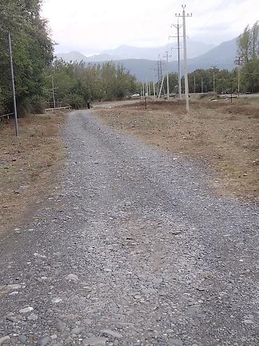 kreditle torpaq sahesi: 31 sot, Tikinti, Kupça (Çıxarış) — 1