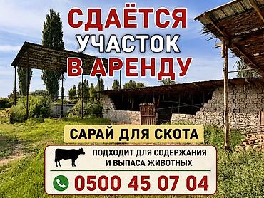 Для сельского хозяйства, Электричество — 1