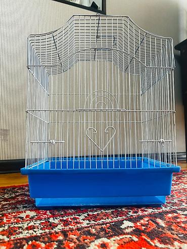 qefəs: Böyük ölçülü qəfəs +yem qabı su qabı və kaçelli daxil 20 azn Orta — 1