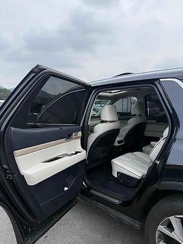 Hyundai: Hyundai Palisade: 2019 г., 2.2 л, Автомат, Дизель, Кроссовер — 12