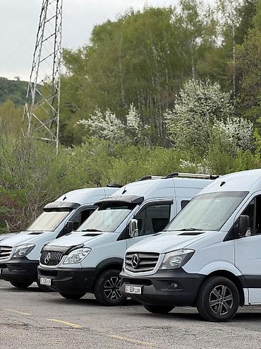 sprinter 315: Пункт назначения: Все направления, Количество мест: 17, Лицензия №: ФПП-Н-33 — 3