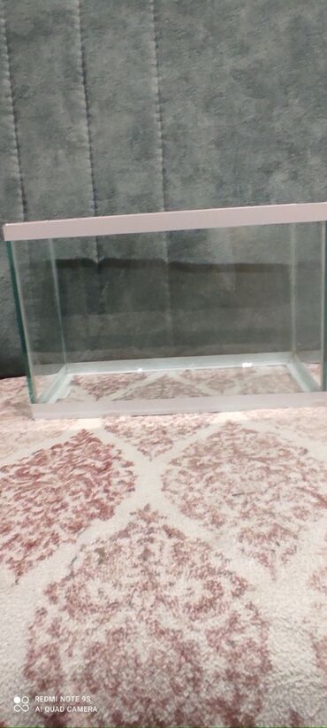 Akvariumlar: Akvaryum satılır islenmeyib 6ldir ünvan xırdalan