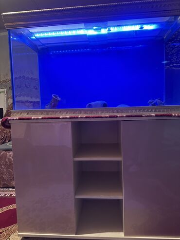 akvarium baliqlari satisi: Salam akvarum 110/50/60 olcusunde 10lug wuweyle yıgılıb cox mohkem ve