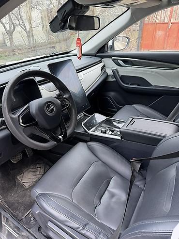 Weltmeister: Weltmeister EX5, 2021 г., 110000 км — 5