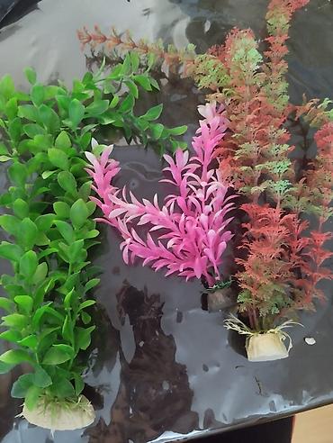 Akvarium aksessuar və ləvazimatları: Boş, 84 l, Ünvandan götürmə — 5