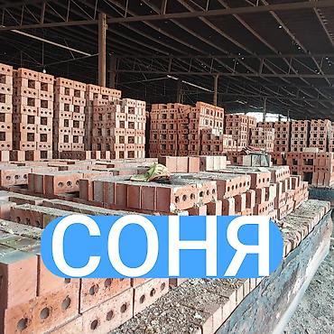 декор панель: Пустотелый, дырчатый, Жженый кирпич, Полублок, 250×120×90 — 1