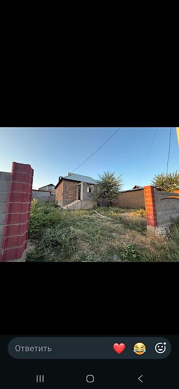 цирк ош: Алтын Казыктан уй сатылат Гульнур — 2