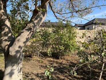 Torpaq sahələrinin satışı: 9 sot, Mülkiyyətçi, Kupça (Çıxarış) — 19