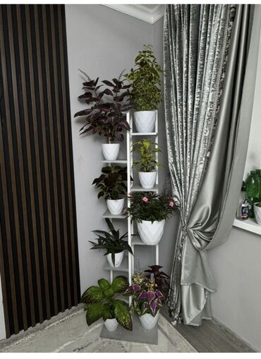 полка для фрукты: Гүлдөр үчүн текче, Жаңы, ЛДСП, Өзү алып кетүү