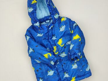 massimo dutti sukienki nowa kolekcja: Jacket, 9-12 months, condition - Perfect