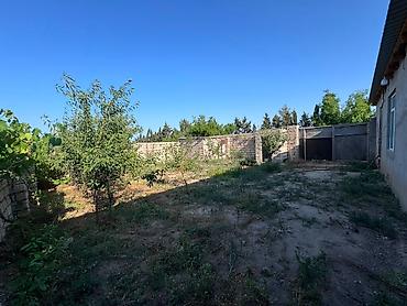 ağdaş emlak: Bakı, 55 kv. m, 2 otaqlı — 1