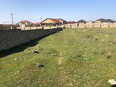 qala ev: 21 sot, Tikinti, Kupça (Çıxarış) — 2