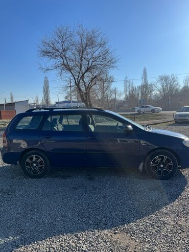 Toyota: Toyota Corolla: 2003 г., 1.4 л, Механика, Бензин, Универсал — 4