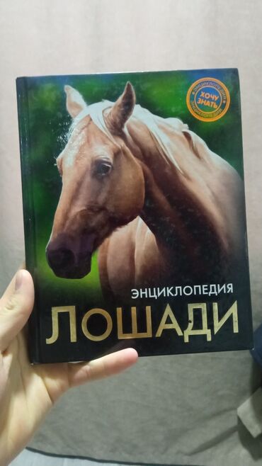 тест на беременность цена бишкек неман: Цена 200сом,
Самовывоз,
Адрес: Восток5 Кийизбаева 33