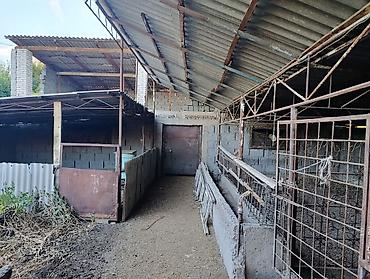 фермер: Farm КРС, 10 соток, Действующий, Частично с оборудованием, Электричество — 5